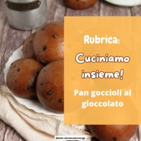 PAN GOCCIOLI AL CIOCCOLATO